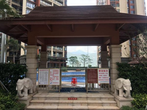 游泳培训